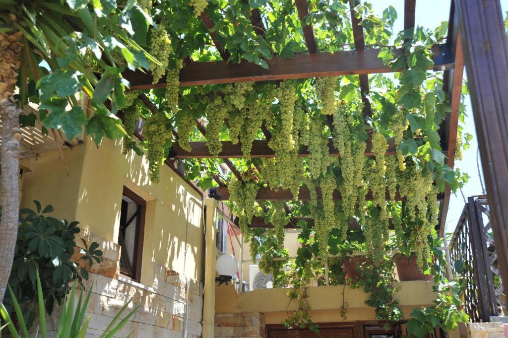 Sofia Pension Rhodes City Zewnętrze zdjęcie